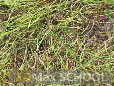 Бесшовные текстуры травы - 79