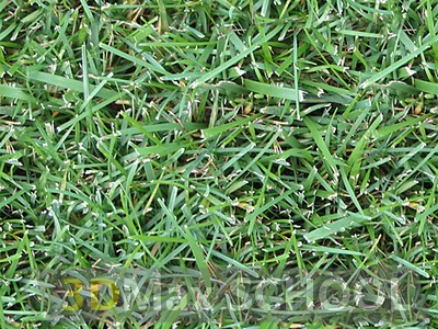 Бесшовные текстуры травы - 86