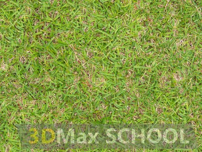Бесшовные текстуры травы - 96