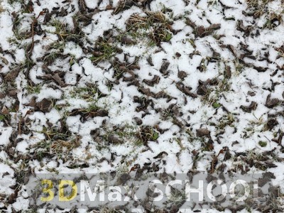 Текстуры травы под снегом - 10