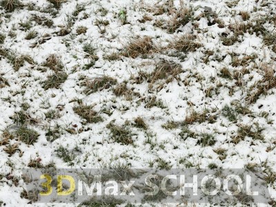 Текстуры травы под снегом - 12