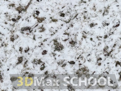 Текстуры травы под снегом - 14