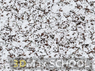 Текстуры травы под снегом - 19