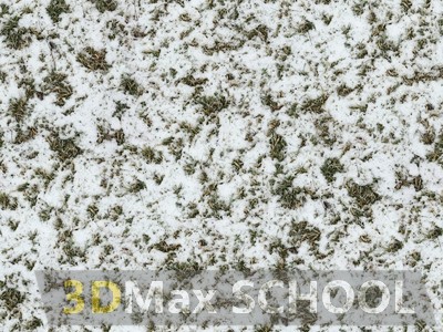 Текстуры травы под снегом - 25