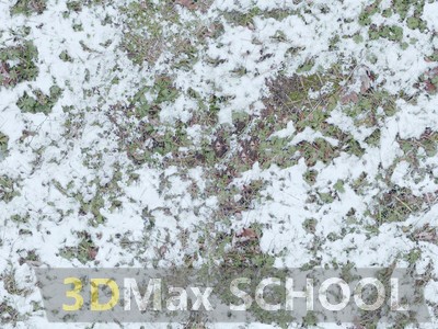 Текстуры травы под снегом - 26