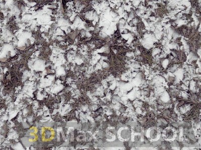 Текстуры травы под снегом - 27