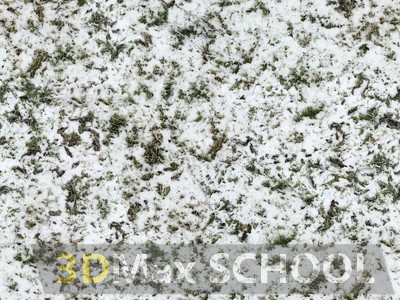 Текстуры травы под снегом - 4