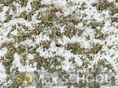 Текстуры травы под снегом - 5