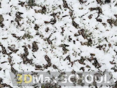 Текстуры травы под снегом - 7