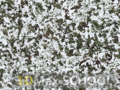 Текстуры травы под снегом - 8
