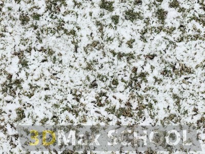 Текстуры травы под снегом - 9