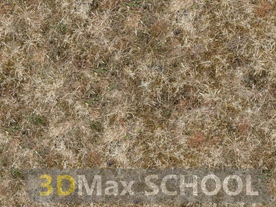 Текстуры сухой травы - 20