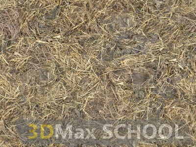 Текстуры сухой травы - 29