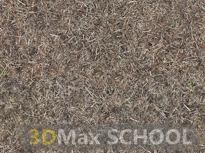 Текстуры сухой травы - 33