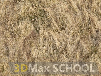 Текстуры сухой травы - 34