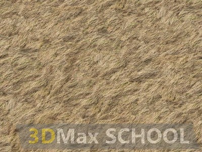 Текстуры сухой травы - 35
