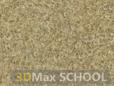 Текстуры сухой травы - 36