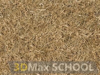 Текстуры сухой травы - 46