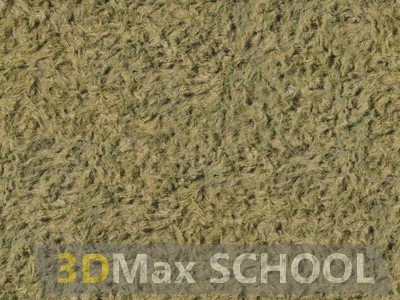 Текстуры сухой травы - 51