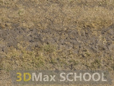 Текстуры сухой травы - 52