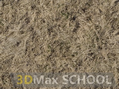 Текстуры сухой травы - 55