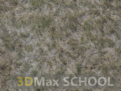 Текстуры сухой травы - 65