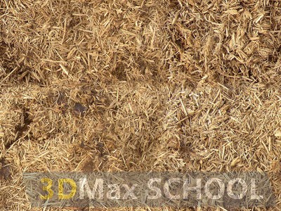 Текстуры сухой травы - 7