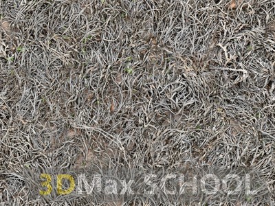 Текстуры сухой травы - 80