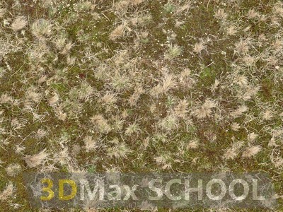 Текстуры сухой травы - 9